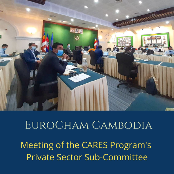 Meeting of the CARES Program's Private Sector Sub-Committee