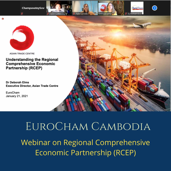 Webinar on Regional Comprehensive Economic Partnership (RCEP)